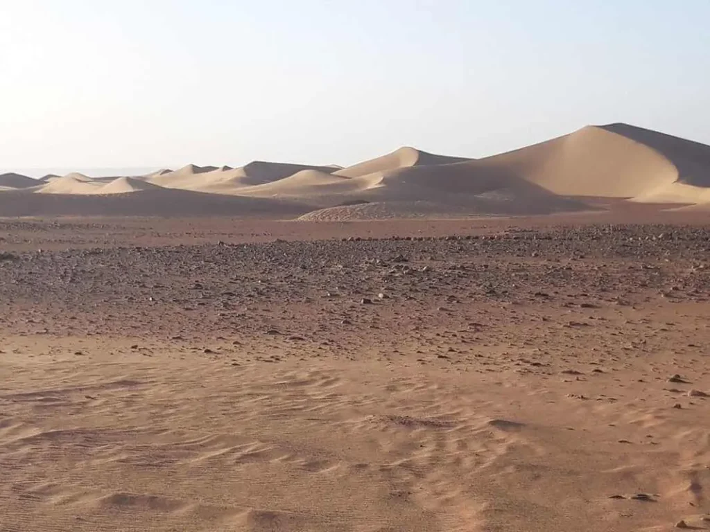 Paysage désertique en vision arrondie — sable, cailloux et dunes se rencontrant dans le Sahara marocain, ciel blanc laiteux — trek Sahara Maroc ADN Sahara M'Hamid