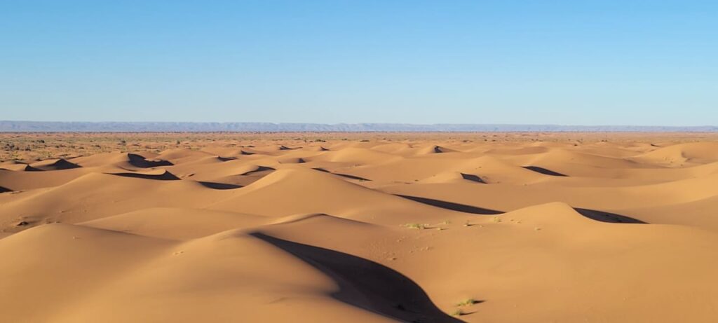 Panoramic photo taken from Erg Chigaga during the 6-day trek in the Moroccan desert in April 2025. The golden, untouched dunes stretch endlessly beneath a vivid blue sky, showcasing the spectacular Sahara landscape.