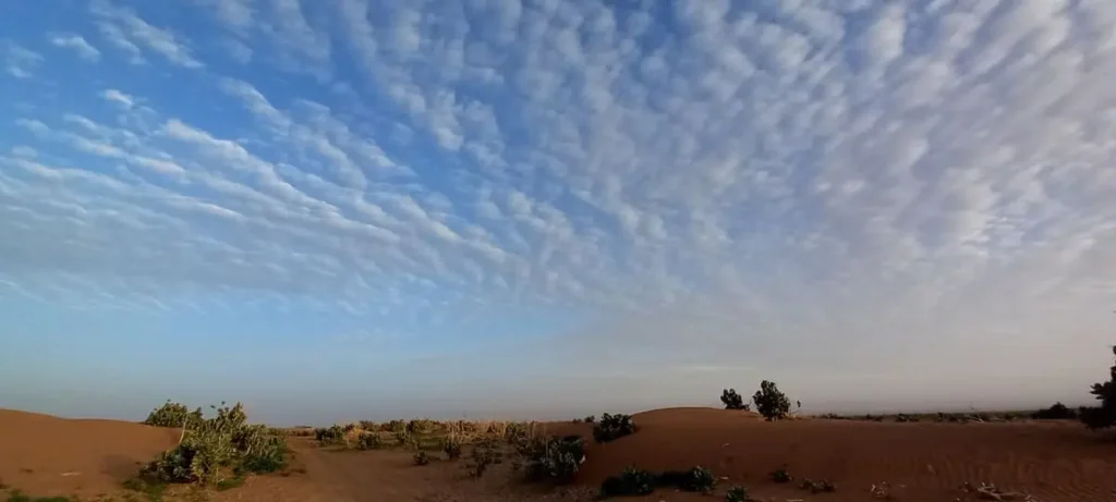 Ready with your gear, witness the Sahara sky with light clouds, sandy ground, and calotropis at sunset.