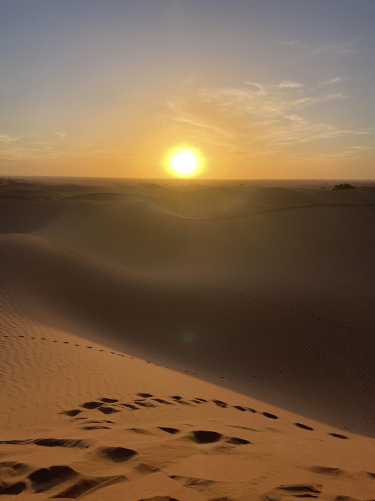 Footsteps leading to the summit of a Sahara desert dune at sunset Morocco — silhouette of trees, gigantic sun, the kind of light only the Moroccan Sahara can offer — 6-day camel trek with ADN Sahara.
