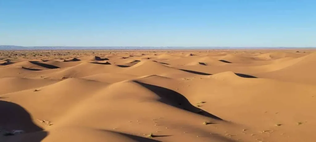 Paysage de l’Erg Zahar lors d’un circuit de 6 jours dans le Sahara marocain avec ADN Sahara, vaste mer de dunes face aux montagnes de l’Atlas