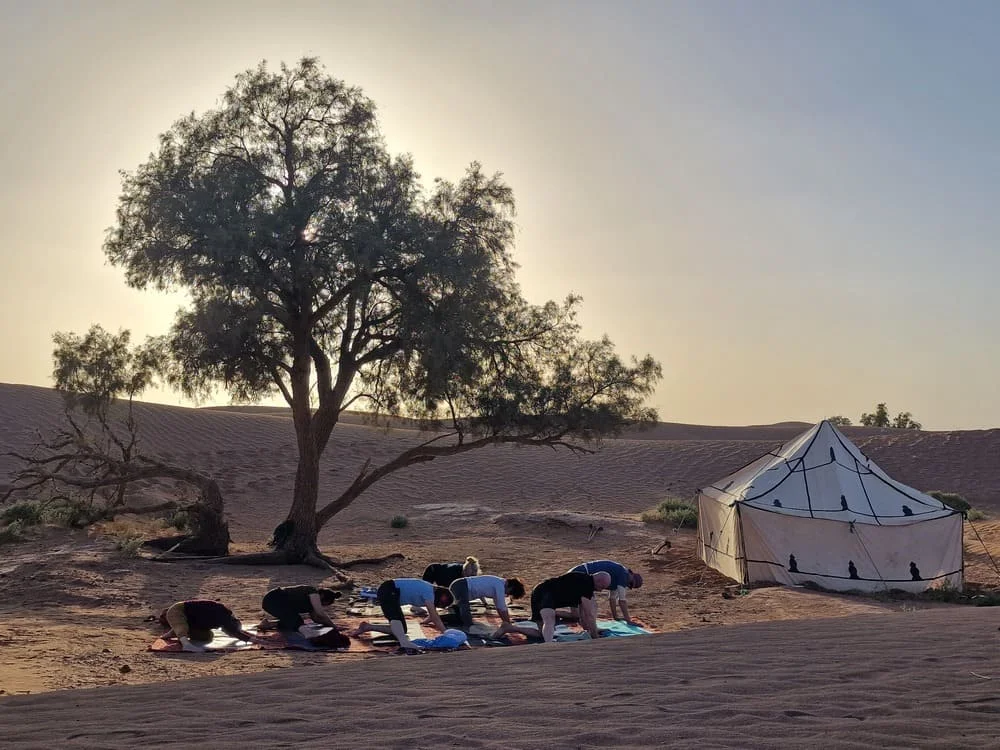 Organiser votre retraite de yoga dans le désert au Maroc avec un groupe accompagné par un professeur, entre dunes, tente traditionnelle, lever et coucher de soleil