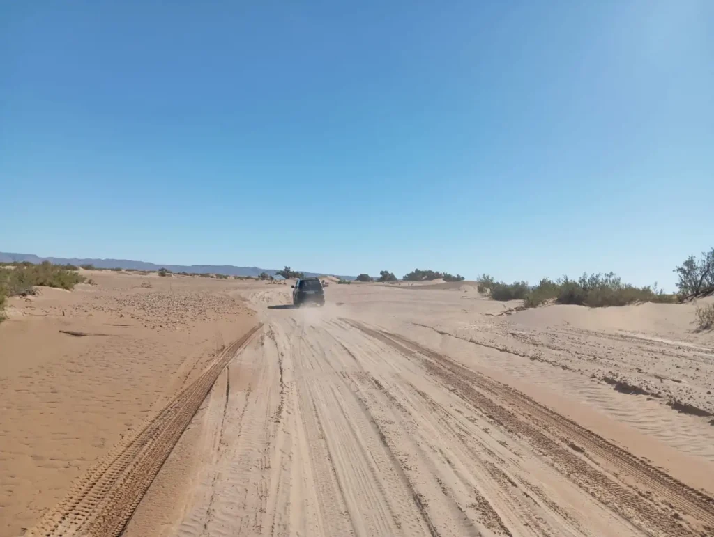 Excursion 1 jour en 4x4 au Sahara depuis M’Hamid El Ghizlane sur les pistes du désert marocain