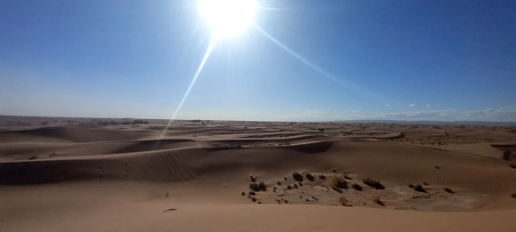 Sahara dunes with wave-shaped sand formations, a bright blue sky and the Atlas Mountains on the horizon.