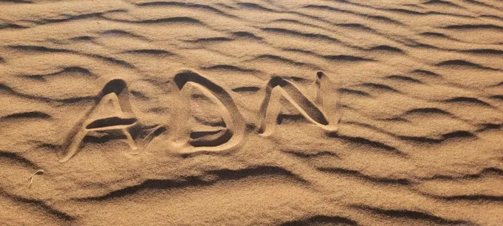 Lettres ADN tracées dans le sable du Sahara marocain