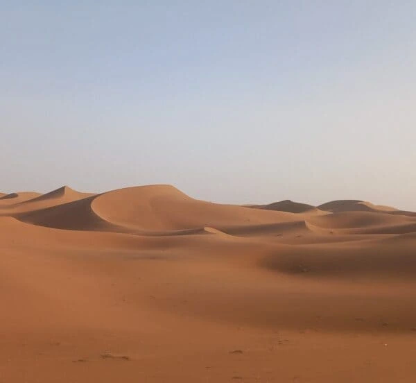Dunes de sable ocre près de M’Hamid dans le Sahara marocain, baignées par la lumière du désert