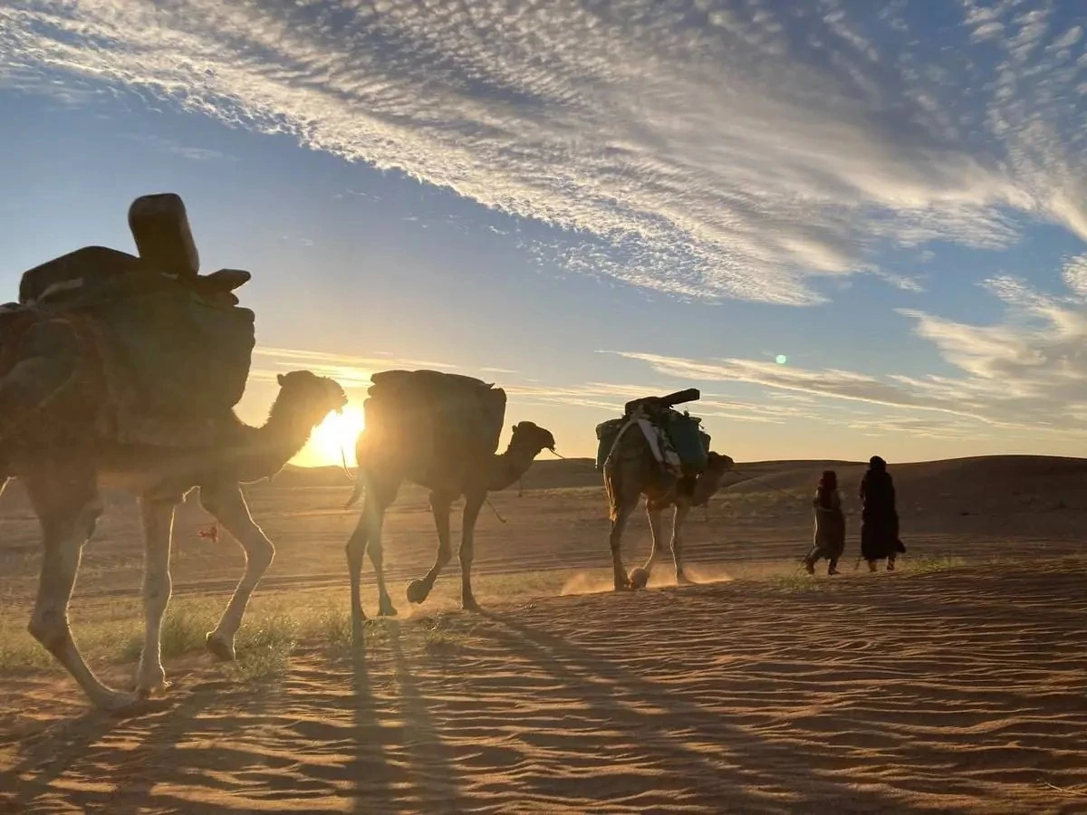 Two nomads lead a caravan of loaded camels across the Sahara in the golden light before sunset